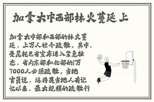 1v3兄弟三明治